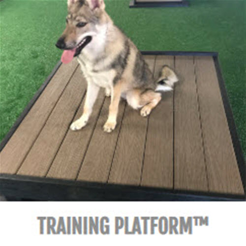 CAD Drawings BIM Models Gyms For Dogs™ Training Platform™